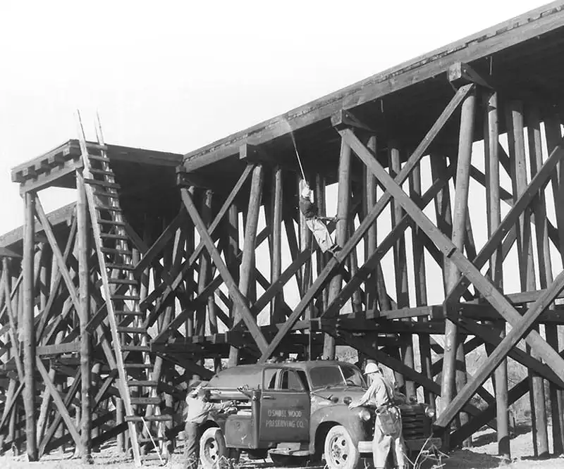 Workers constructing wooden structure supports